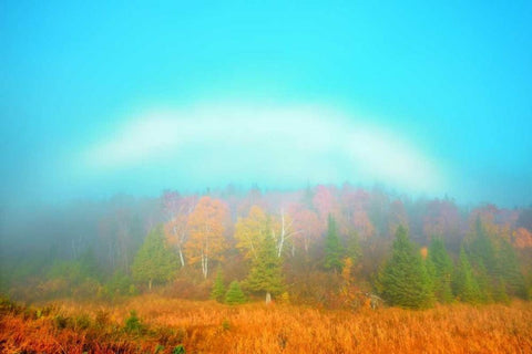 Canada, Whiteshell PP Fogbow over forest, Autumn Black Ornate Wood Framed Art Print with Double Matting by Grandmaison, Mike