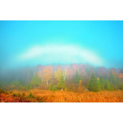 Canada, Whiteshell PP Fogbow over forest, Autumn Black Modern Wood Framed Art Print by Grandmaison, Mike