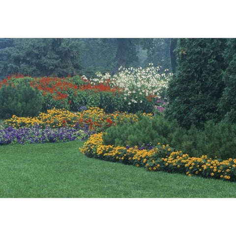 Canada, Manitoba, Winnipeg Garden in light fog Black Modern Wood Framed Art Print by Grandmaison, Mike