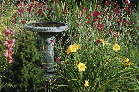 Canada, Manitoba, Fountain in garden Black Ornate Wood Framed Art Print with Double Matting by Grandmaison, Mike