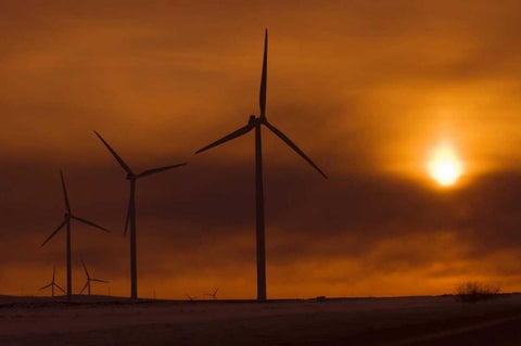 Canada, Somerset Wind turbines at sunset Black Ornate Wood Framed Art Print with Double Matting by Grandmaison, Mike