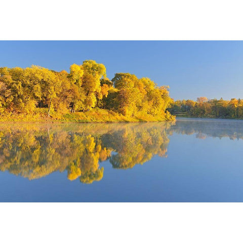 Canada-Manitoba-Winnipeg Forest reflected in Red River at sunrise White Modern Wood Framed Art Print by Jaynes Gallery