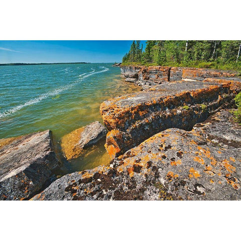 Canada-Manitoba-Wanless Rocky Lake shoreline White Modern Wood Framed Art Print by Jaynes Gallery