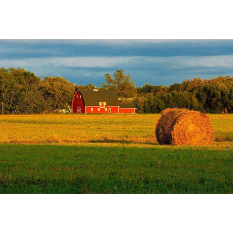 Canada-Manitoba-Matlock Red barn and bale at sunrise Black Modern Wood Framed Art Print by Jaynes Gallery