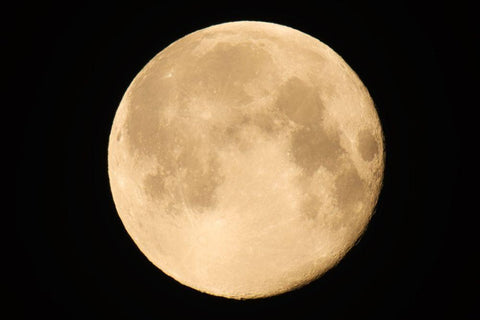 Canada-Manitoba-Winnipeg Close-up of full moon Black Ornate Wood Framed Art Print with Double Matting by Jaynes Gallery