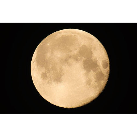 Canada-Manitoba-Winnipeg Close-up of full moon Black Modern Wood Framed Art Print by Jaynes Gallery