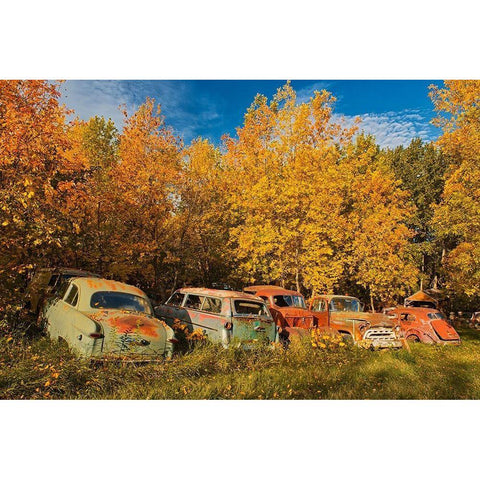 Canada-Manitoba-St Lupicin Vintage old vehicles in wrecking yard Gold Ornate Wood Framed Art Print with Double Matting by Jaynes Gallery