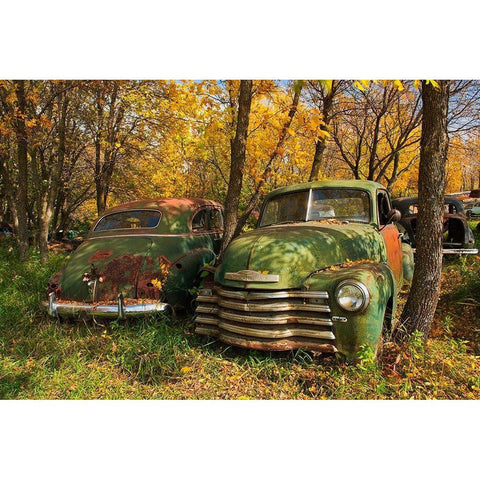 Canada-Manitoba-St Lupicin Vintage old vehicles in wrecking yard Black Modern Wood Framed Art Print by Jaynes Gallery