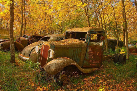 Canada-Manitoba-St Lupicin Vintage old vehicles in wrecking yard Black Ornate Wood Framed Art Print with Double Matting by Jaynes Gallery