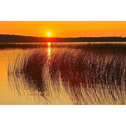 Canada-Manitoba-Riding Mountain National Park Sunset on Lake Audy Black Modern Wood Framed Art Print by Jaynes Gallery