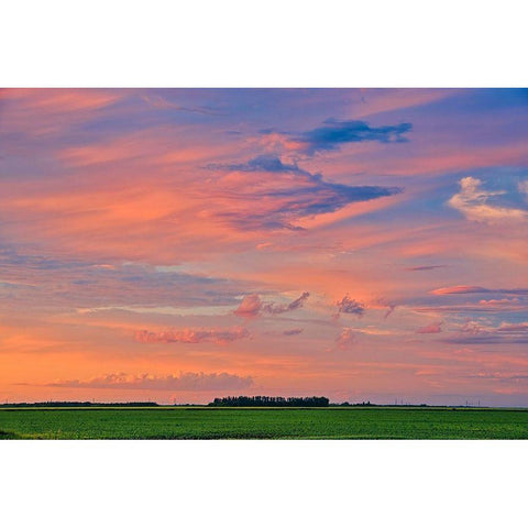 Canada-Manitoba-Dugald Clouds at sunset on prairie White Modern Wood Framed Art Print by Jaynes Gallery