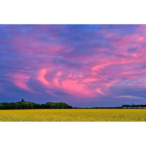 Canada-Manitoba-Dugald Clouds at sunset on prairie Black Modern Wood Framed Art Print with Double Matting by Jaynes Gallery