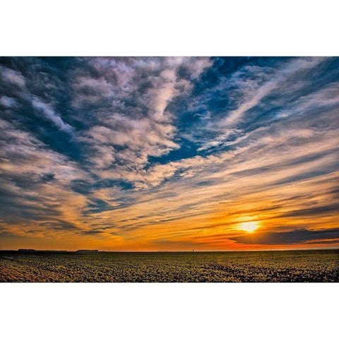 Canada-Manitoba-Dugald Clouds at sunset on prairie Gold Ornate Wood Framed Art Print with Double Matting by Jaynes Gallery
