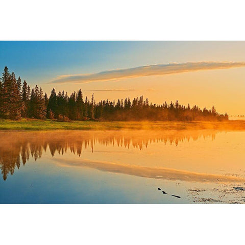Canada-Manitoba-Riding Mountain National Park Fog rising above Whirlpool Lake at sunrise Gold Ornate Wood Framed Art Print with Double Matting by Jaynes Gallery