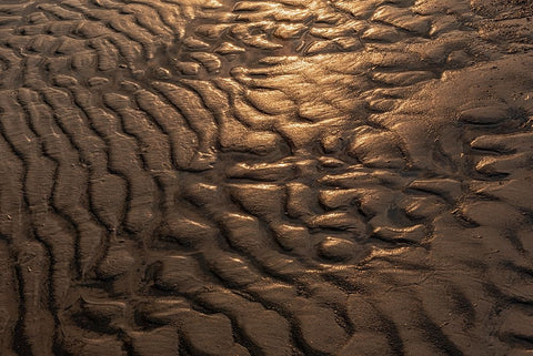 Canada- Manitoba- Winnipeg. Wave patterns on sandy beach of Lake Winnipeg. Black Ornate Wood Framed Art Print with Double Matting by Jaynes Gallery