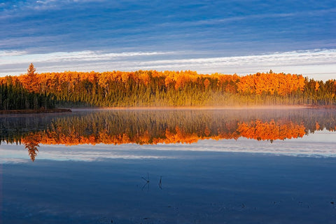 Canada- Manitoba- Duck Mountain Provincial Park. Morning fog on lake in autumn. Black Ornate Wood Framed Art Print with Double Matting by Jaynes Gallery
