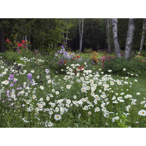 Canada, New Brunswick, garden and forest Black Modern Wood Framed Art Print by Anon, Ellen