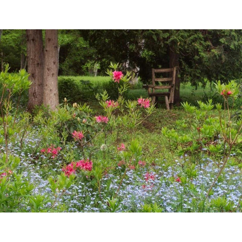 Canada, New Brunswick, garden and forest Black Modern Wood Framed Art Print by Anon, Ellen