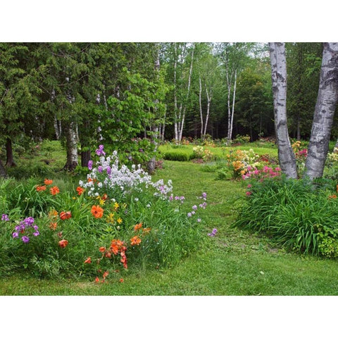 Canada, New Brunswick, garden and forest Gold Ornate Wood Framed Art Print with Double Matting by Anon, Ellen