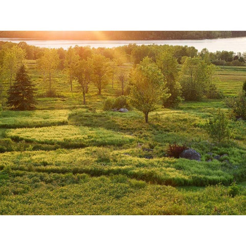 Canada, New Brunswick Sunset over St John River Black Modern Wood Framed Art Print with Double Matting by Anon, Ellen