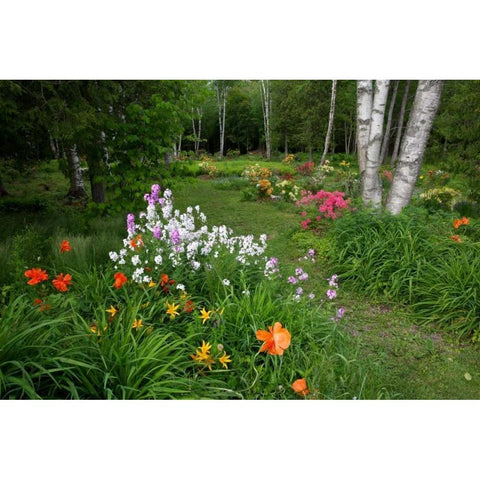 Canada, New Brunswick Garden scenic Black Modern Wood Framed Art Print with Double Matting by Anon, Ellen