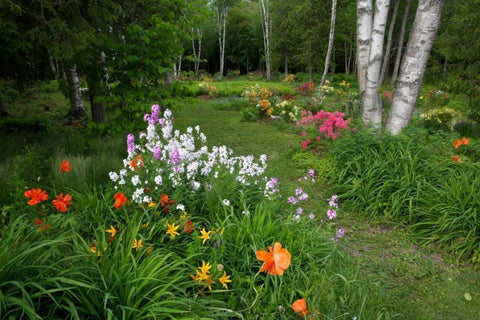 Canada, New Brunswick Garden scenic White Modern Wood Framed Art Print with Double Matting by Anon, Ellen