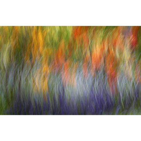 Canada Abstract blur of garden colors White Modern Wood Framed Art Print by Anon, Ellen