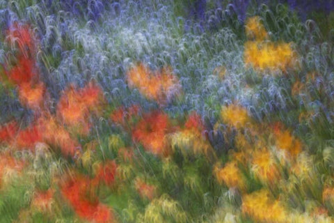 Canada Abstract blur of garden colors White Modern Wood Framed Art Print with Double Matting by Anon, Ellen