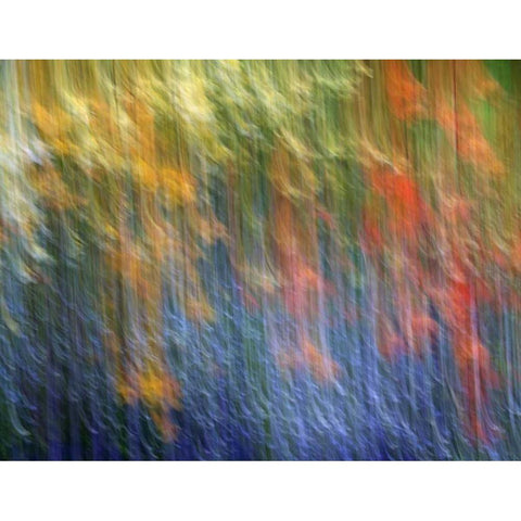 Canada Abstract blur of garden colors White Modern Wood Framed Art Print by Anon, Ellen