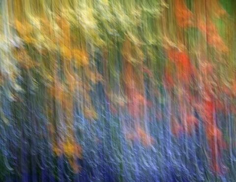 Canada Abstract blur of garden colors White Modern Wood Framed Art Print with Double Matting by Anon, Ellen