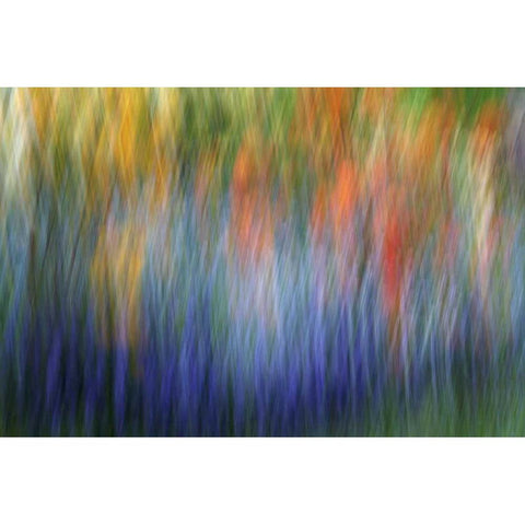 Canada Abstract blur of garden colors Black Modern Wood Framed Art Print with Double Matting by Anon, Ellen