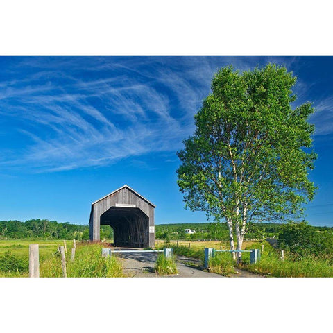Canada-New Brunswick-Riverside-Albert Sawmill Creek covered bridge Black Modern Wood Framed Art Print with Double Matting by Jaynes Gallery