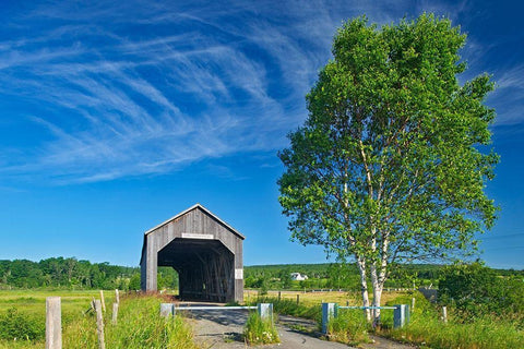 Canada-New Brunswick-Riverside-Albert Sawmill Creek covered bridge Black Ornate Wood Framed Art Print with Double Matting by Jaynes Gallery