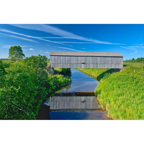 Canada-New Brunswick-Riverside-Albert Sawmill Creek covered bridge White Modern Wood Framed Art Print by Jaynes Gallery