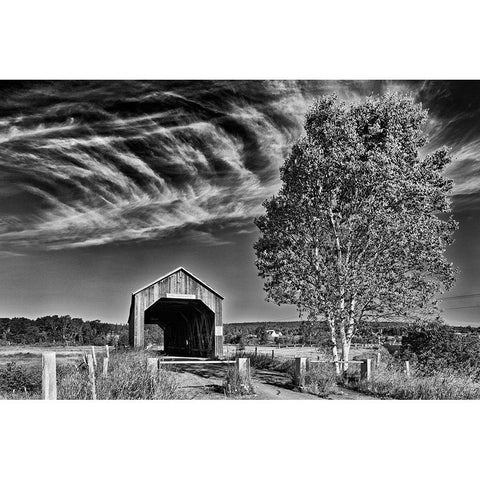 Canada-New Brunswick-Riverside-Albert Sawmill Creek covered bridge Gold Ornate Wood Framed Art Print with Double Matting by Jaynes Gallery