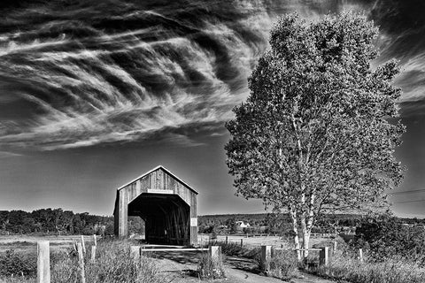 Canada-New Brunswick-Riverside-Albert Sawmill Creek covered bridge White Modern Wood Framed Art Print with Double Matting by Jaynes Gallery