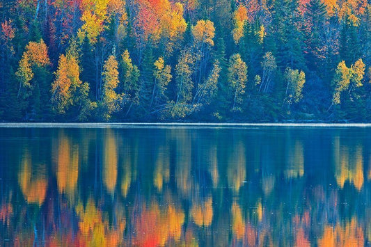 Image Only