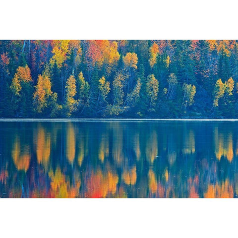 Canada-New Brunswick-Mactaquac Autumn forest reflections on St John River Black Modern Wood Framed Art Print by Jaynes Gallery