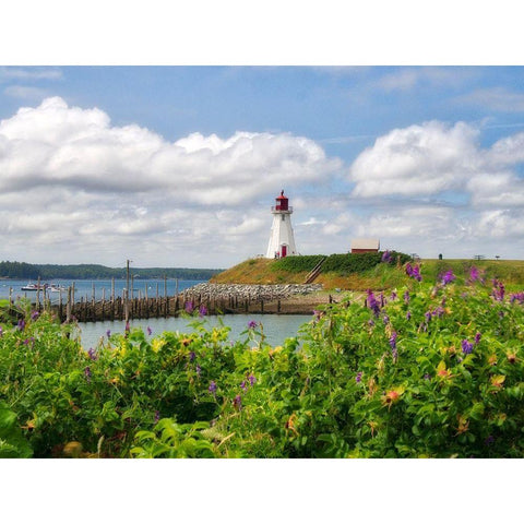 Canada-New Brunswick-Campobello Island Mulholland Point Lighthouse Black Modern Wood Framed Art Print with Double Matting by Eggers, Julie