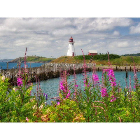 Canada-New Brunswick-Campobello Island Mulholland Point Lighthouse Black Modern Wood Framed Art Print with Double Matting by Eggers, Julie