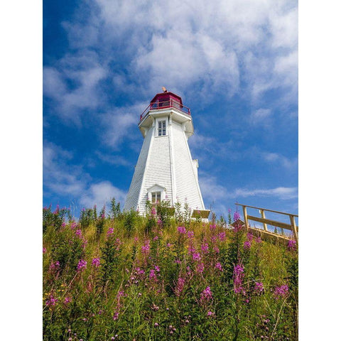 Canada-New Brunswick-Campobello Island Mulholland Point Lighthouse Black Modern Wood Framed Art Print by Eggers, Julie