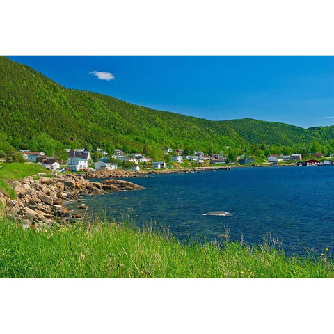 Canada-Newfoundland Fishing village and shoreline along White Bay Black Modern Wood Framed Art Print by Jaynes Gallery