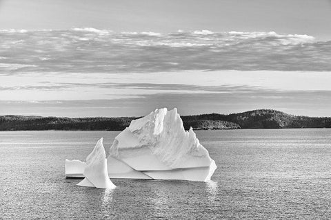 Canada-Newfoundland-Eastport Icebergs floating in Salvage Bay of Atlantic Ocean White Modern Wood Framed Art Print with Double Matting by Jaynes Gallery