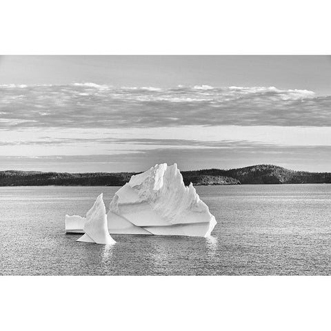 Canada-Newfoundland-Eastport Icebergs floating in Salvage Bay of Atlantic Ocean Black Modern Wood Framed Art Print with Double Matting by Jaynes Gallery