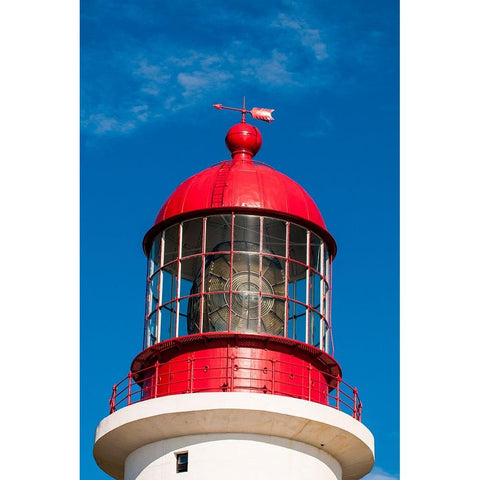 Cape Race Lighthouse-Cape Race-Avalon Peninsula-Newfoundland-Canada Black Modern Wood Framed Art Print by DeFreitas, Michael