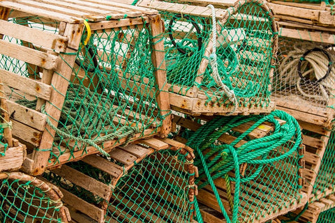 Fishing nets and lobster pots traps-Old Pelican-Avalon Peninsula-Newfoundland-Canada White Modern Wood Framed Art Print with Double Matting by DeFreitas, Michael