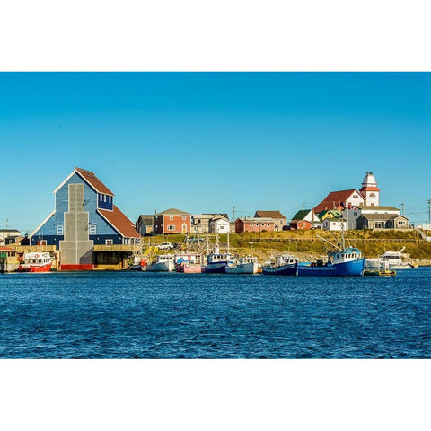 Historic Bonavista-Bonavista Peninsula-Newfoundland-Canada Black Modern Wood Framed Art Print by DeFreitas, Michael