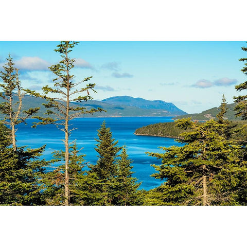 Gros Morne National Park-Wild Cove on Bonne Bay-Newfoundland-Canada Black Modern Wood Framed Art Print by DeFreitas, Michael