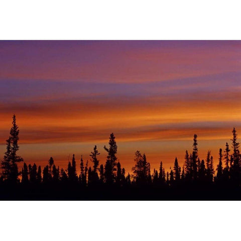 Canada, Ft Resolution Sunrise over forest Black Modern Wood Framed Art Print by Grandmaison, Mike