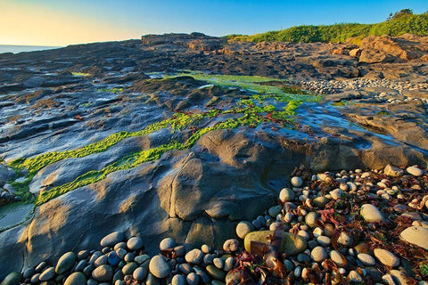 Canada-Nova Scotia Rocky shoreline along Bay of Fundy White Modern Wood Framed Art Print with Double Matting by Jaynes Gallery